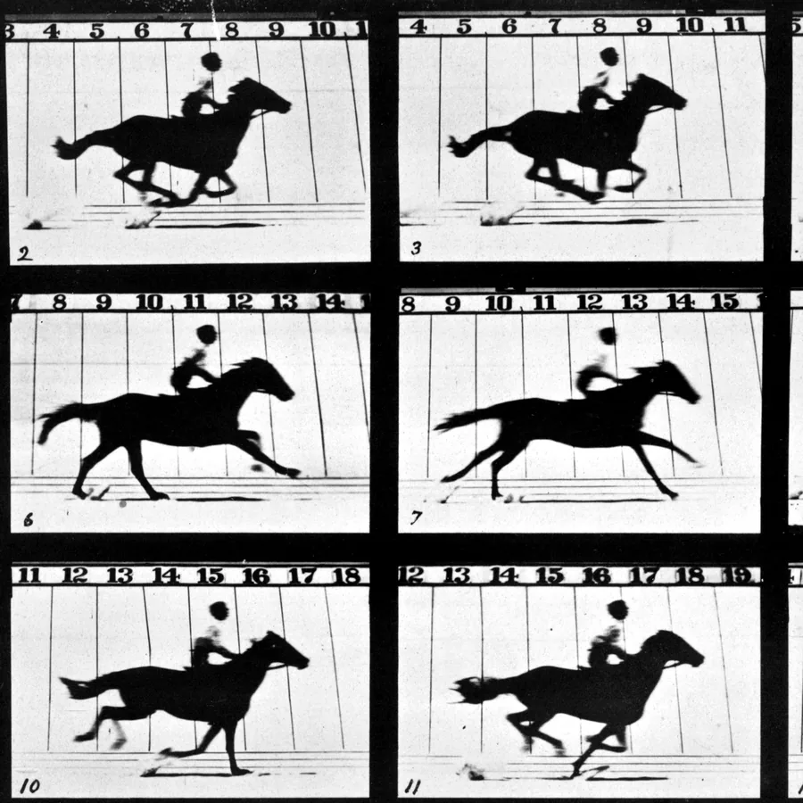 Muybridge's frame by frame study of a galloping horse, 1878